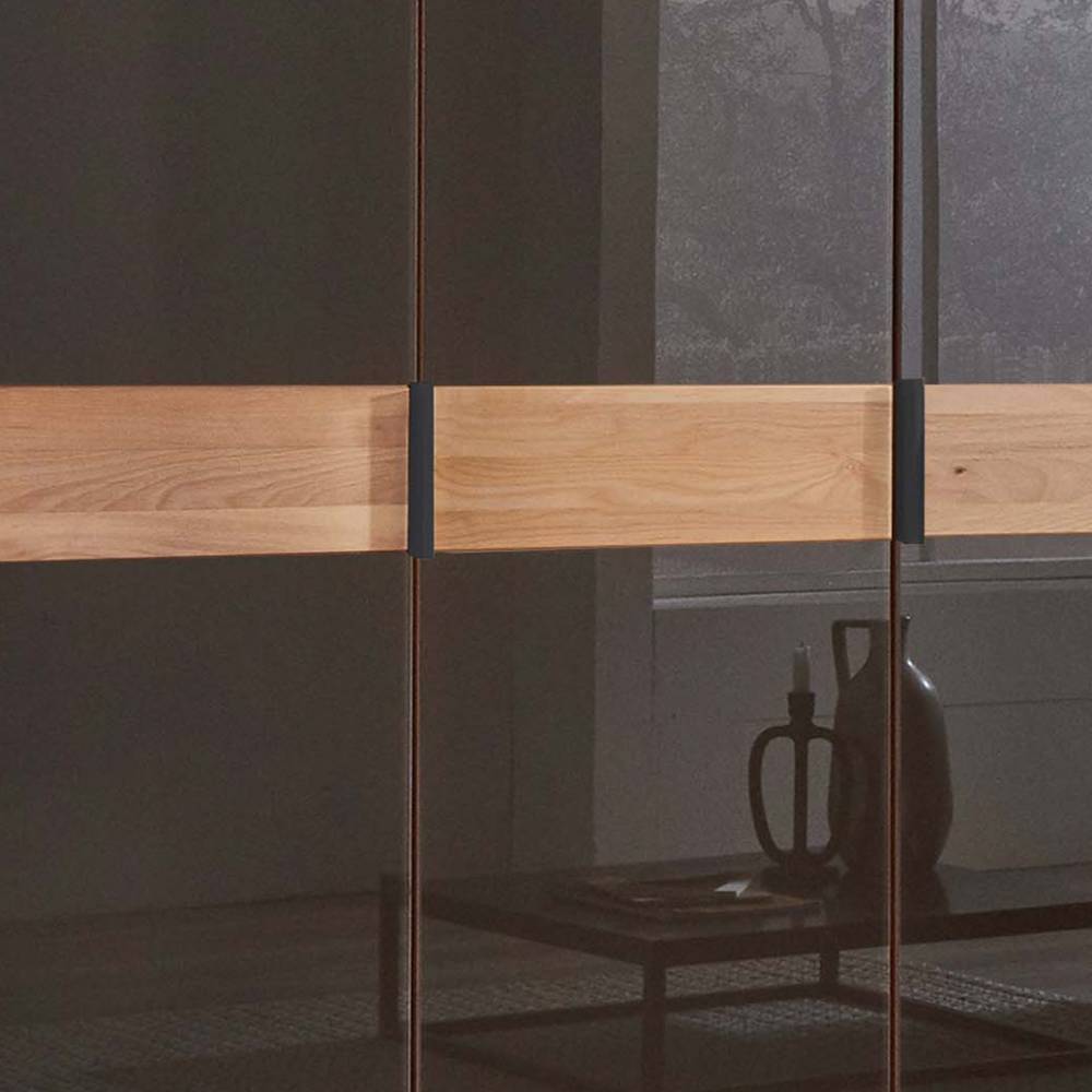 Glasfront-Schlafzimmerschrank in Dunkelbraun - Hung