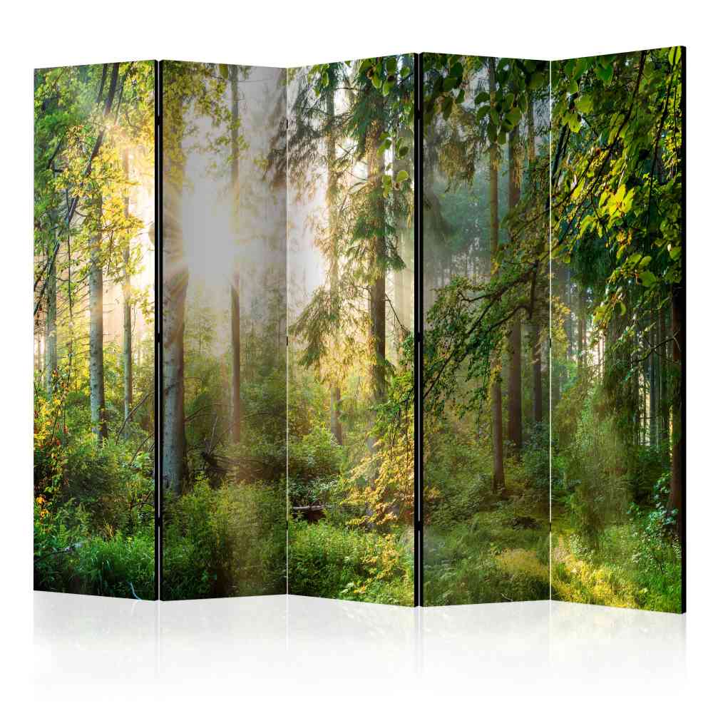 225cm breiter Paravent mit Wald Foto beidseitig bedruckt Vuturava