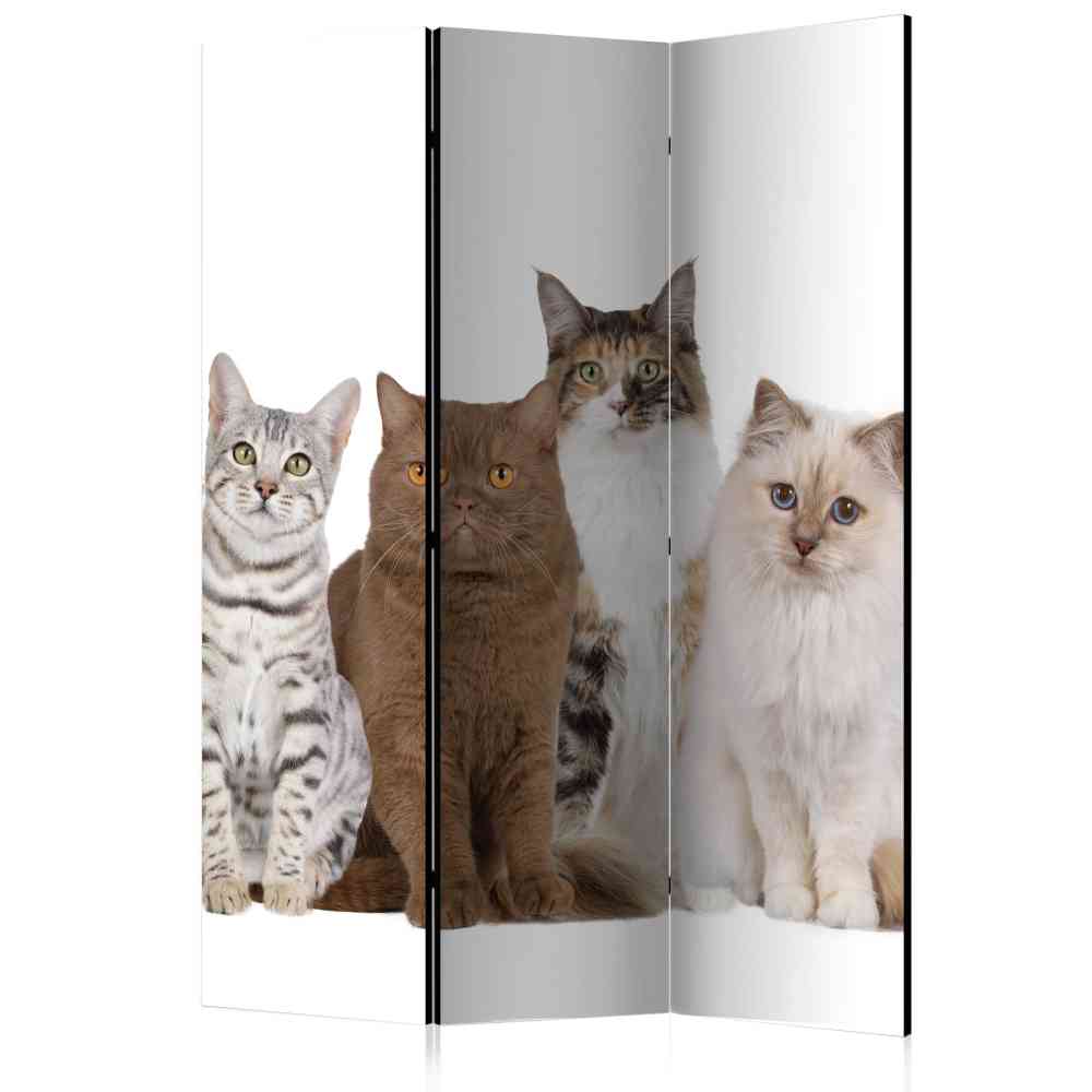 Fotodruck Paravent mit Katzen Motiv farbig 135x172 Tresena