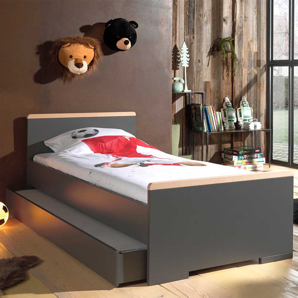 Modernes Jugendzimmer Bett in Anthrazit mit Buche 90x200 cm Navlius