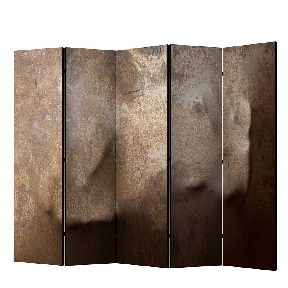 Paravent Raumteiler bedruckt aus Fichte Massivholz mit Leinwand Vurgos
