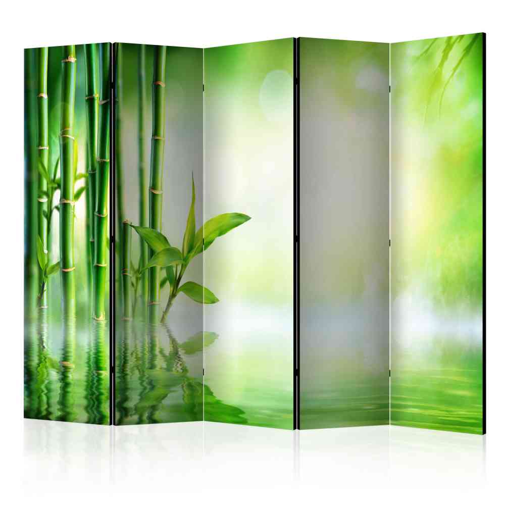 Wohnraum Trennwand faltbar mit Fotodruck Bambus in Grün Pless