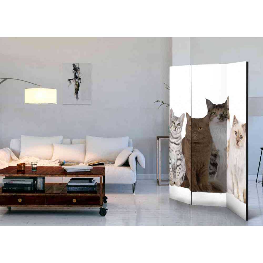 Fotodruck Paravent mit Katzen - Tresena