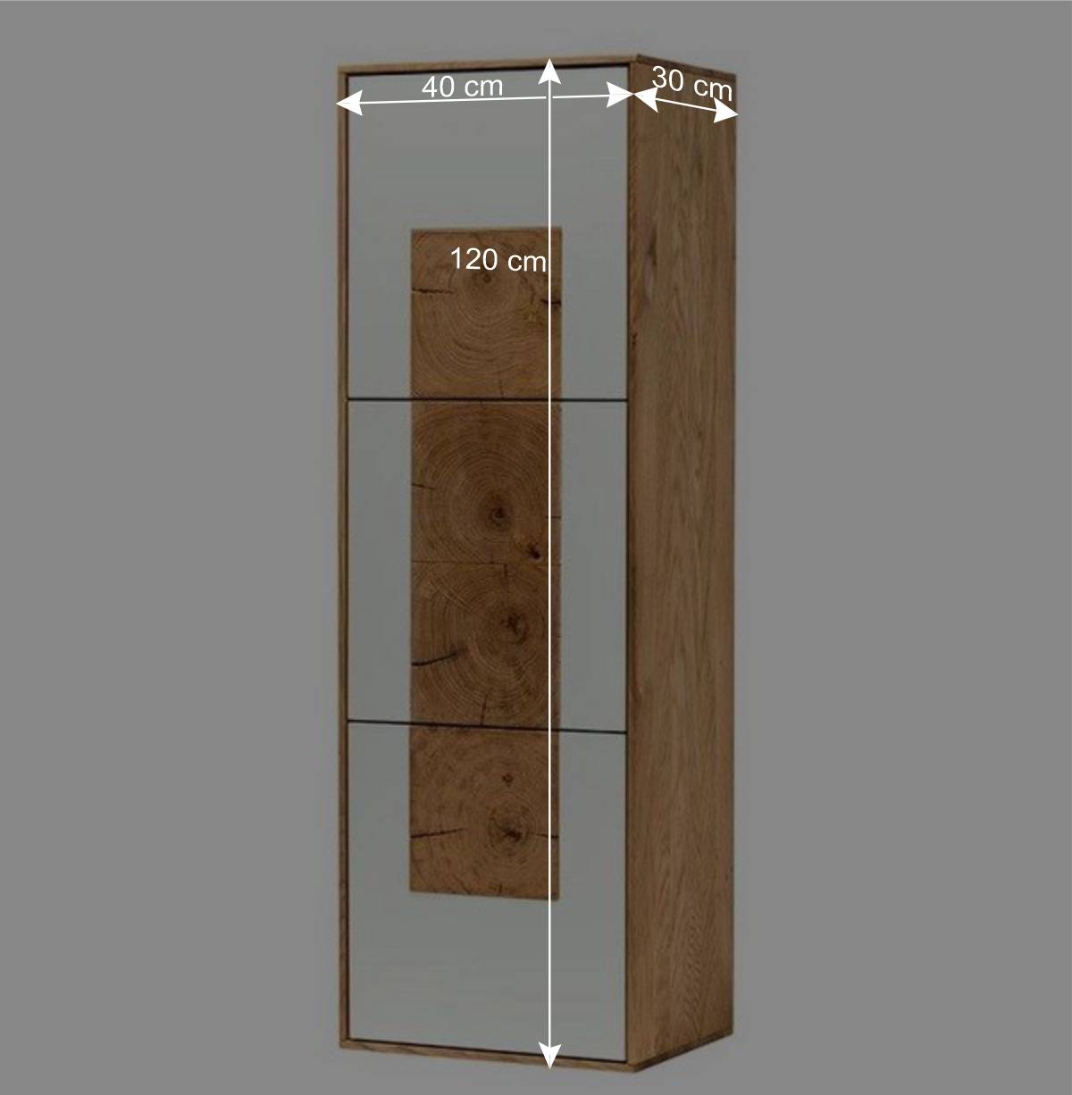 40x120x30 Design Schrank für Wandmontage - Smonia