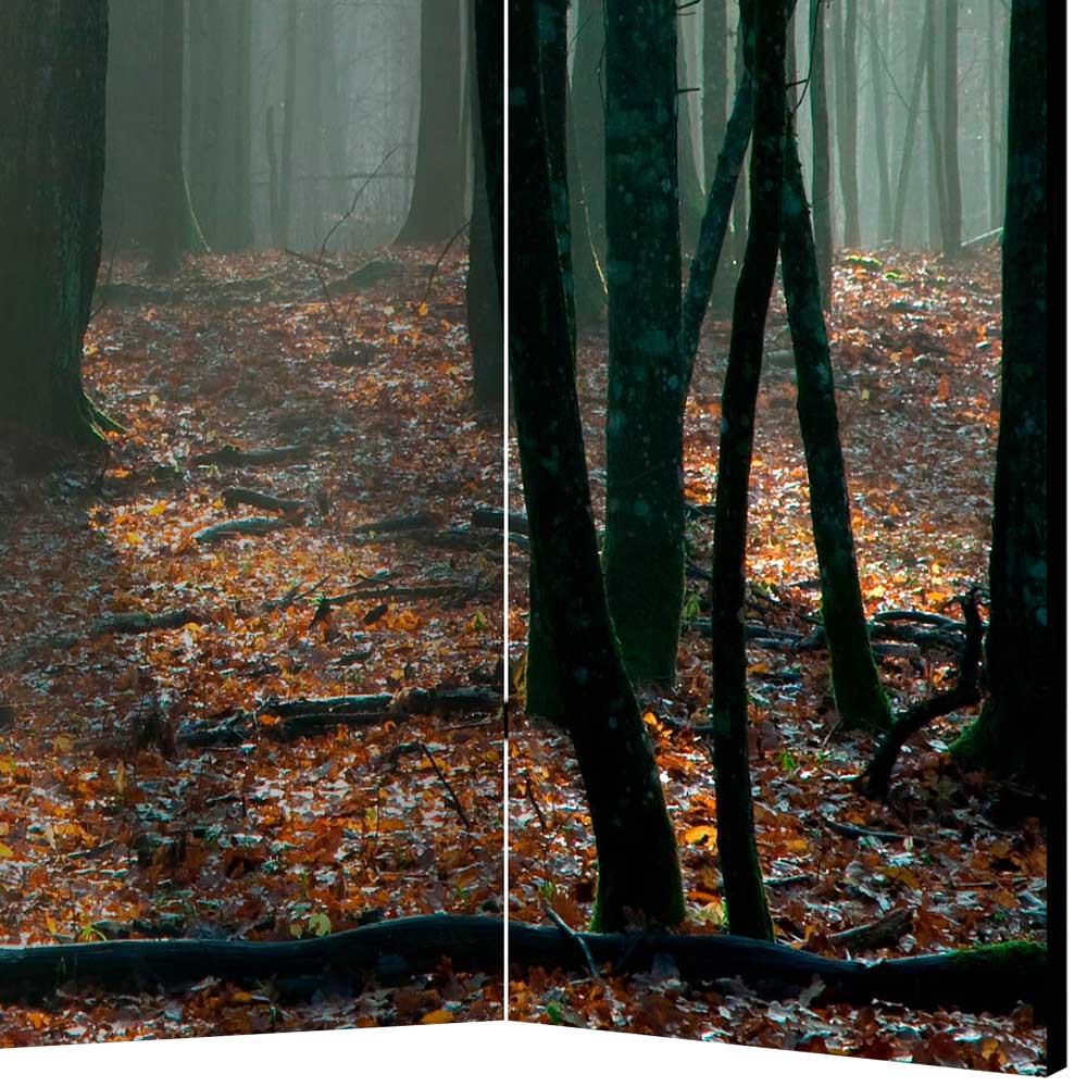 Klappbarer Paravent Herbstwald Fotodruck - Stacie