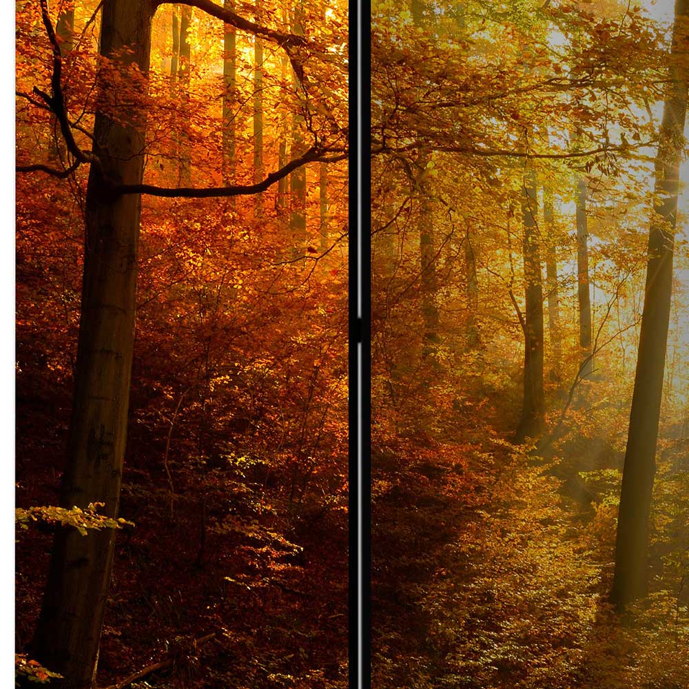 Paravent Trennwand Wald in Herbststimmung - Jemja
