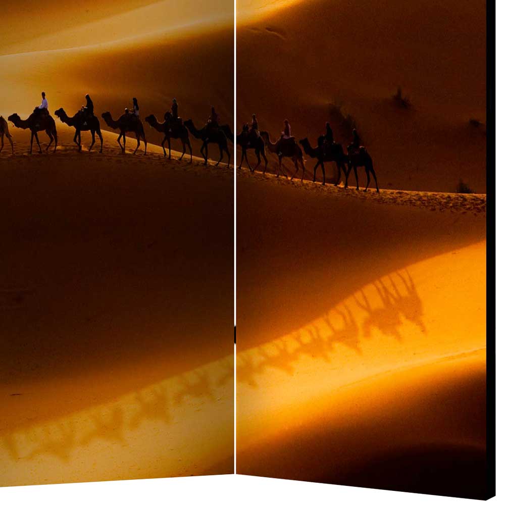 Paravent mit Foto Wüste mit Kamel Karavane - Lively