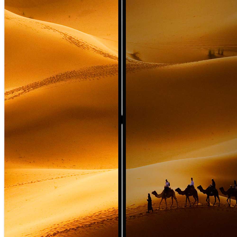 Paravent mit Foto Wüste mit Kamel Karavane - Lively